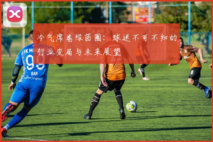 冷气席卷绿茵圈：球迷不可不知的行业变局与未来展望